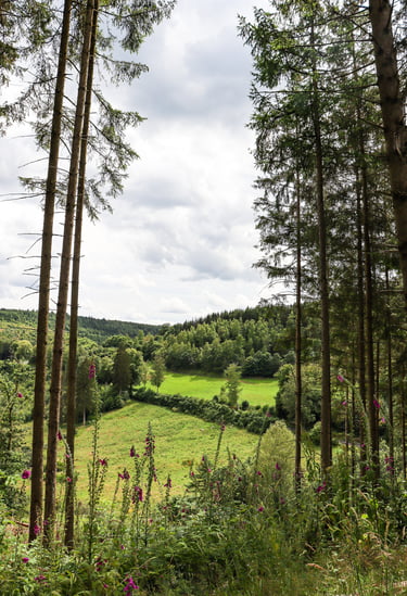 Escarpardenne Eisleck wandelroute