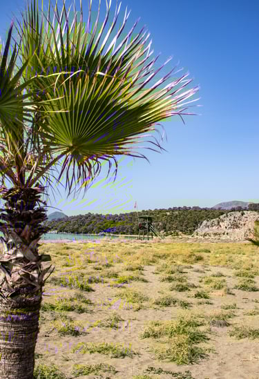 Iztuzu beach