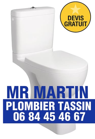 Installation remplacement wc toilette casse urgence plomberie plombier tassin 69160