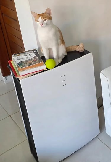 Gato alergia asma  primavera y Purificador blueair pro L