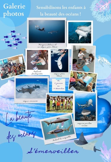 photos d'enfants et de requins