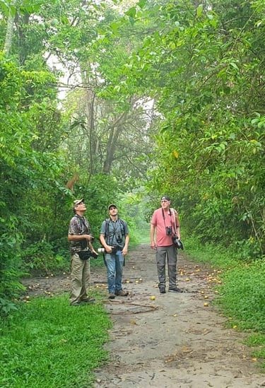 bridwatchers looking at birds