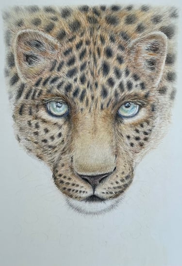 Leopard
