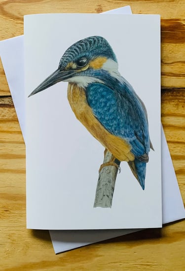 Kingfisher