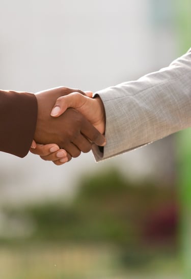 Partners shake hands