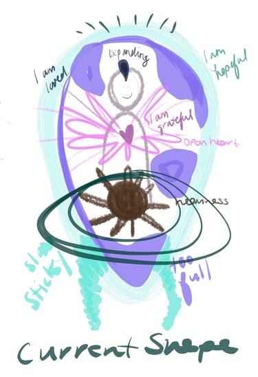 drawing of current embodiment and somatic shape