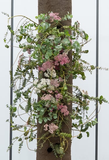 RHS Chelsea Flower Shower - Hedy Leung