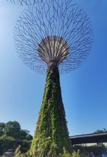 Garden in the sky Singapour