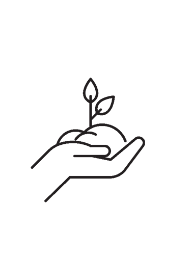 illustration of a hand holding a plant in soiil