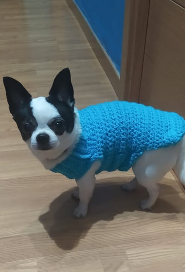 Chihuahua con traje de chochet