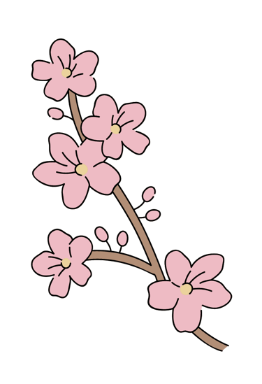 korean flowers