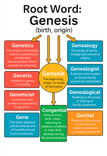 Genesis root word chart word power made easy