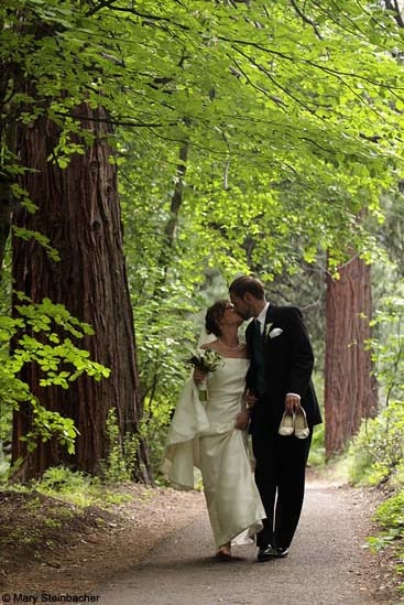 Bride & Groom walking through the Yosemite Redwoods