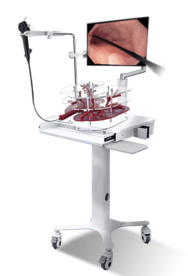 Suzhou Frank Bronchoscopy Simulator