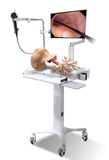 Suzhou Frank Bronchoscopy Simulator