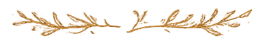 Illustration qui représente un d