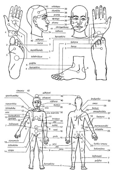 Vetrivel Health center best chiropractic and varamam theraphy 
