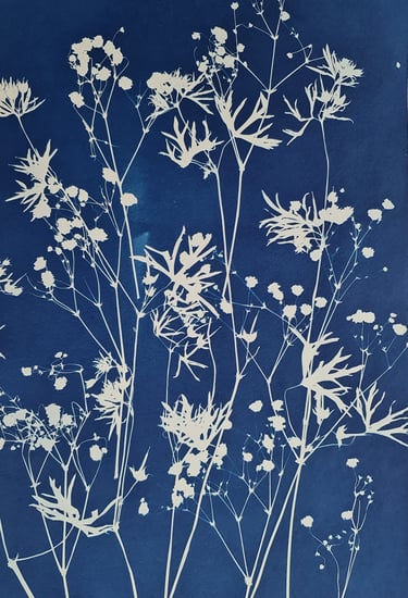 l'art du cyanotype