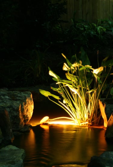 water feature LED light