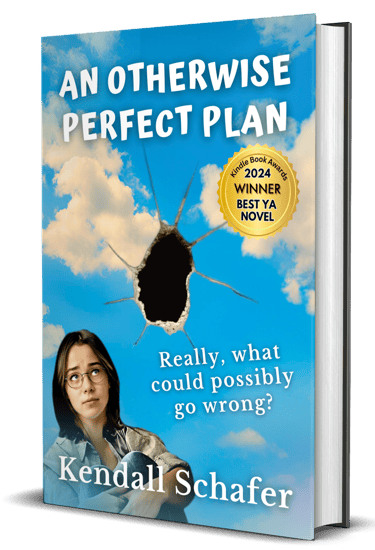 a book cover of an otherwise perfect plan