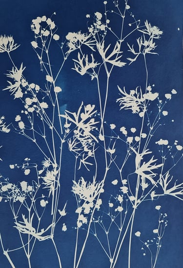 l'art du cyanotype