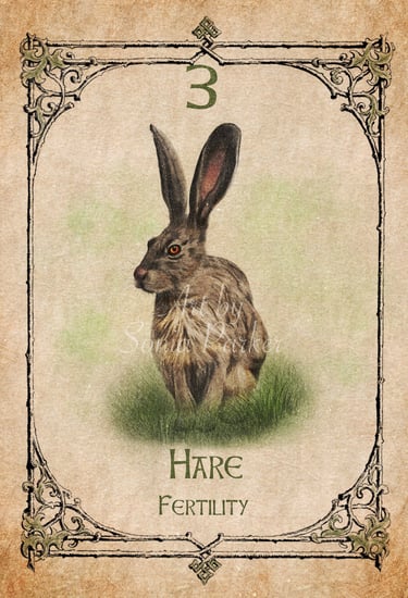 Hare, a card from the animal spirit oracle deck