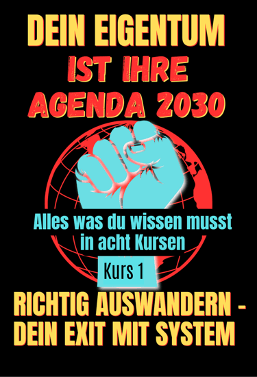 buch cover dexit richtig auswander raus aus dme system i