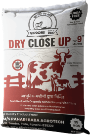 Best transition feed for pregnant cows India - VIPROMI Dry Close Up