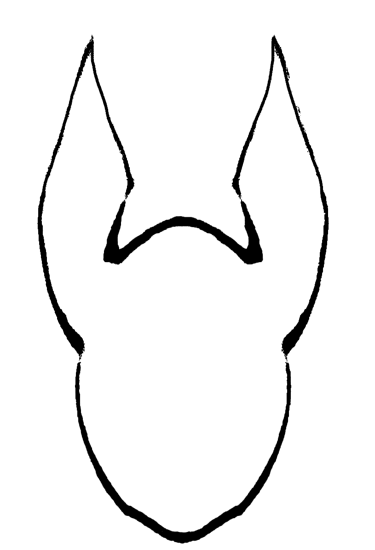 Anubis BC logo