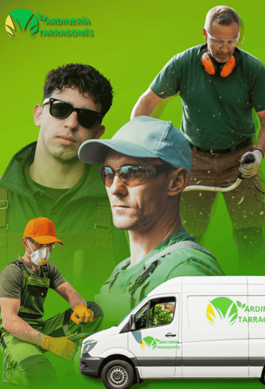 Empresa de jardinería en Torredembarra, Altafulla y Tarragona