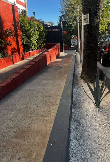 a tree that is sitting on the side of a road