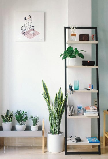 Bright and tidy home interior with stylish shelf and greenery after KLEAN WELL cleaning service