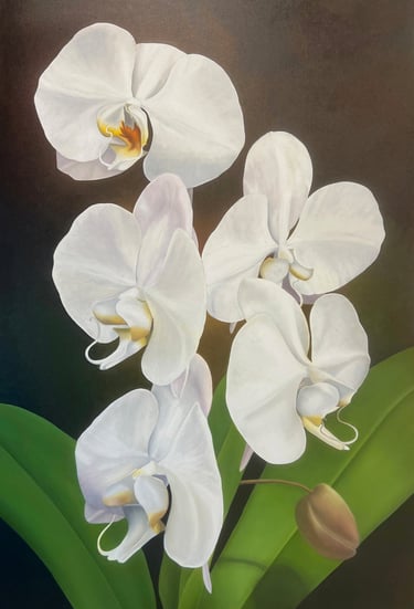White Phal Cluster