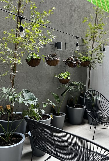 a patio with a lot of potted plants