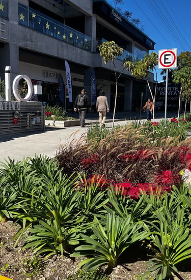 a sign that says dario on the side of a building