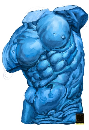 anatomy sculpture art of human torso