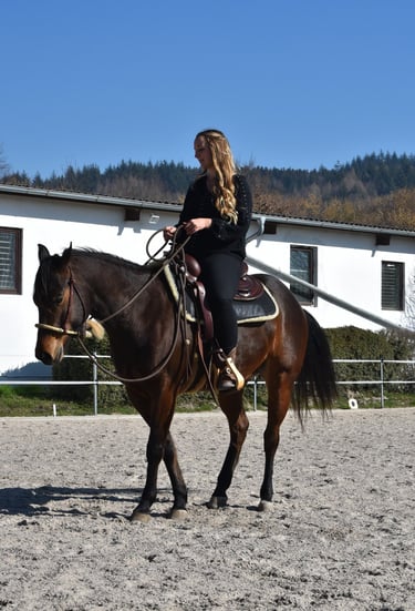 Braune Warmblutstute mit Reiterin auf gepflegtem Reitplatz. Geritten im Bosal. 