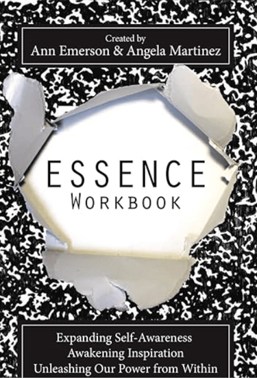 ESSENCE Workbook