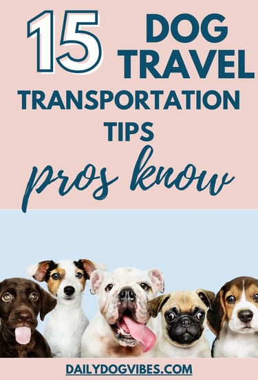 15 dog travel tips