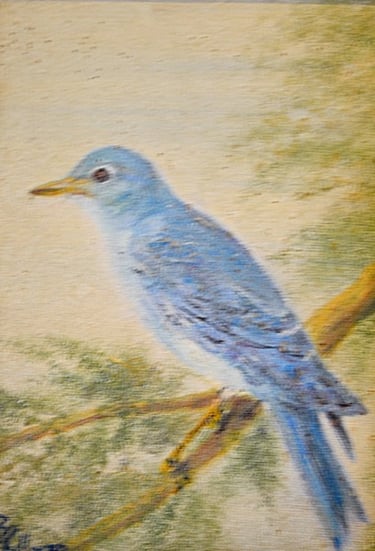 Bluebird 17.78 x 12.7 cm   Oil on canvas 