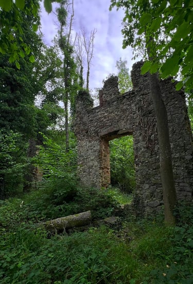 Oude doorgang van de kloosterruïne, half begroeid, omringd door stilte en natuur.