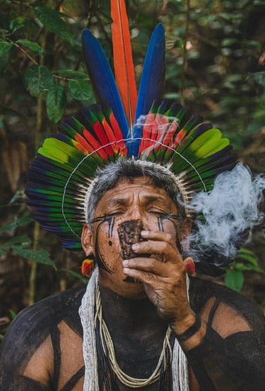 a man with a feathered headdress and a feathered headdress