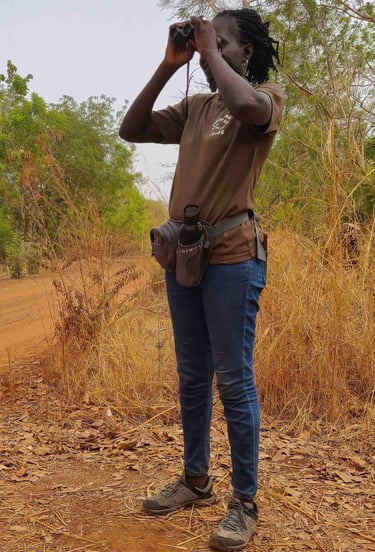 Professionele vogelgids Fatou Colley observeert vogels tijdens een vogelreis in Gambia
