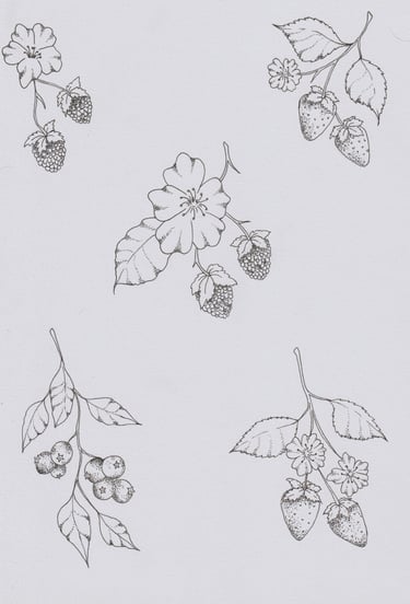 Stippled pen drawings of wild berries: blackberries, strawberries and blueberries.