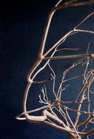 sculpture bois arbre