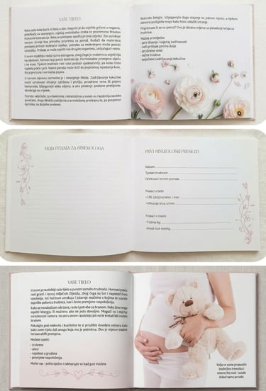 Unutrašnjost dnevnika 3