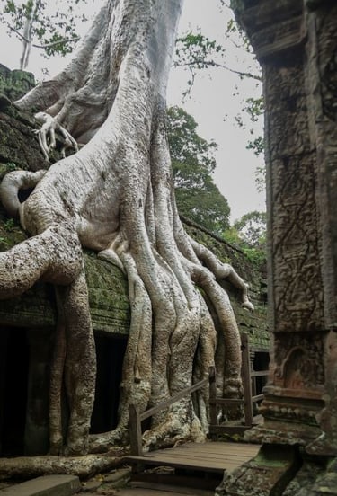 tempio-ta-prohm