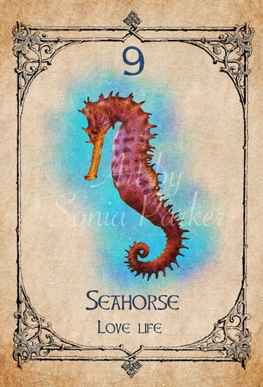Seahorse card from the animal spirit oracle deck