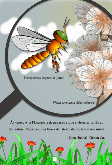 abelha jataí visitando flores de jaboticabeira