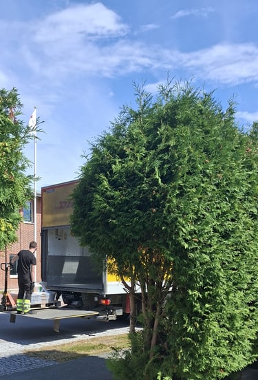 DHL enlève une palette de pots de peinture suédoise  en 2025 pour B to B